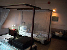 Bed with mosquito net