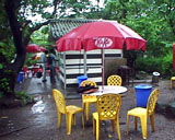 Coffee shack, side view.