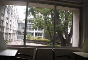 Main library window.