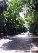 Street in IITB