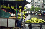 Bananas in the rain