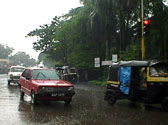 Autos in the rain