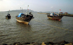 Boats moored at Elephanta Island.