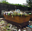 Crows in the trash