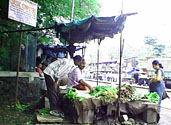 Vegetables Stand